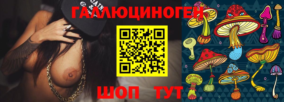 Галлюциногенные грибы Cubensis Карпинск